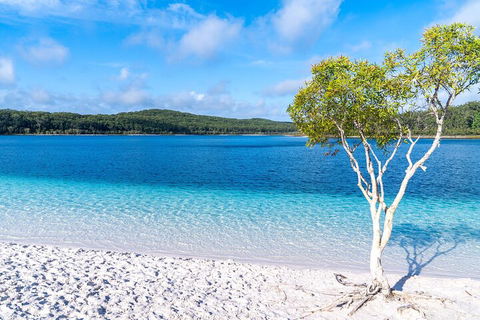 Lake McKenzie Full-Day Tour With Lunch From Hervey Bay - Pet Food Australia 1