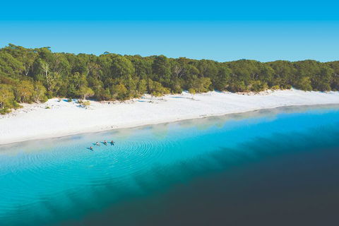 Lake McKenzie Full-Day Tour With Lunch From Hervey Bay - Pet Food Australia 4
