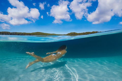 Lake McKenzie Full-Day Tour With Lunch From Hervey Bay - Pet Food Australia 5