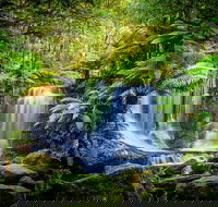 Day Tour in Mt. Field Mt. Wellington Bonorong Wildlife Sanctuary and Richmond - Pet Food Australia