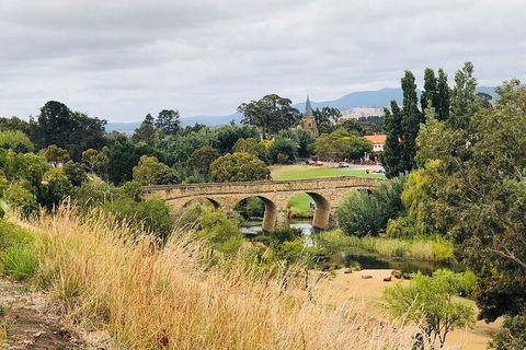 Day Tour In Mt. Field, Mt. Wellington, Bonorong Wildlife Sanctuary And Richmond - Pet Food Australia 3