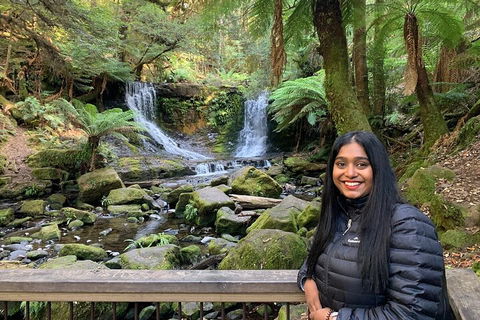 Day Tour In Mt. Field, Mt. Wellington, Bonorong Wildlife Sanctuary And Richmond - Pet Food Australia 5