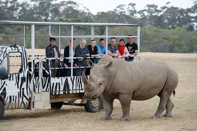 Off-Road Safari at Werribee Open Range Zoo