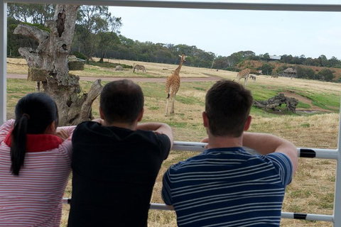 Off-Road Safari At Werribee Open Range Zoo - Pet Food Australia 4