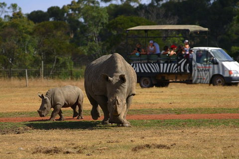 Off-Road Safari At Werribee Open Range Zoo - Pet Food Australia 5