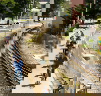 Explore Freo The Local Way 3-hour Bike Tour - Pet Food Australia