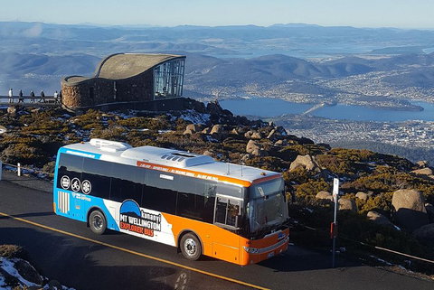 Hobart Hop-On Hop-Off Bus & Kunanyi/Mt Wellington Tour - Food Delivery Shop 3
