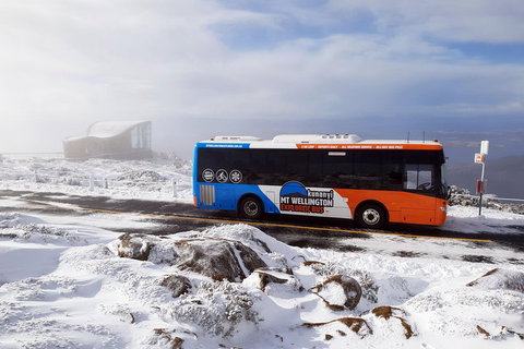 Hobart Hop-On Hop-Off Bus & Kunanyi/Mt Wellington Tour - Food Delivery Shop 5