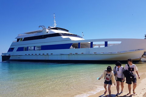 Moreton Island Day Trip (Kayak, Snorkel & Sandboard) Frm Brisbane Or Gold Coast - Pet Food Australia 0