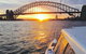 Sunset And Sparkle Sydney Harbour Cruise - thumb 3