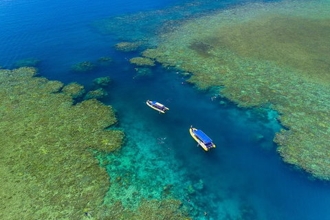 Great Barrier Reef Scenic Flight And Ocean Rafting Whitehaven Beach Day Trip - Food Delivery Shop 4