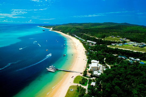 Tangalooma Island Resort Whale Watching Day Cruise - Food Delivery Shop 2