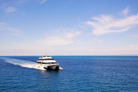 Tangalooma Island Resort Whale Watching Day Cruise - Food Delivery Shop 5