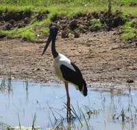 Darwin to Kakadu Day Trip by Air Including Yellow Water Cruise - Food Delivery Shop