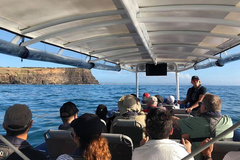Julian Rocks Byron Bay Cruise - Pet Food Australia 4