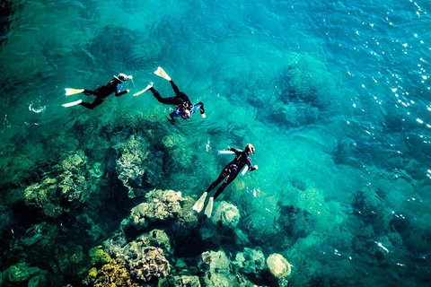 2-Night Whitsundays Sailing Adventure: Whitsunday Getaway - Food Delivery Shop 5