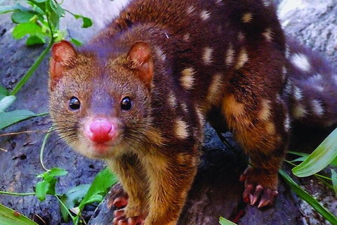 Hartley's Crocodile Adventures General Entry Ticket - Food Delivery Shop 4