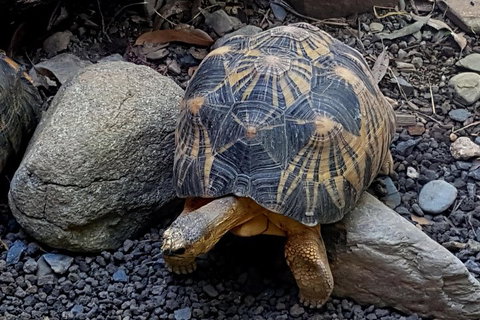 Hartley's Crocodile Adventures Breakfast With The Koalas - Food Delivery Shop 4