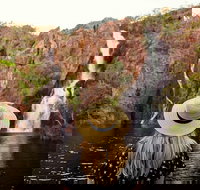 Litchfield National Park - Top End Day Tour from Darwin - Pet Food Australia