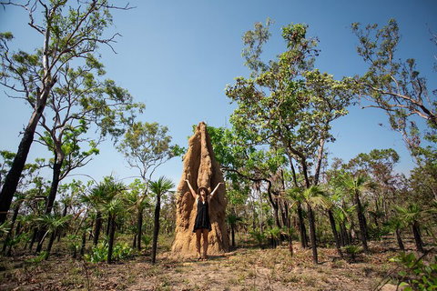 Litchfield National Park - Top End Day Tour From Darwin - Food Delivery Shop 5