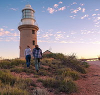 6-Day Coral Coaster from Perth to Exmouth One-Way via Monkey Mia Ningaloo Reef - Food Delivery Shop