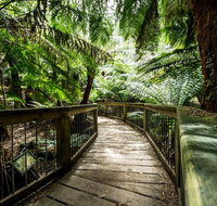 12 Apostles Eco-Friendly Great Ocean Road Iconic Adventure from Melbourne - Food Delivery Shop