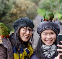 Small-Group Great Ocean Road and 12 Apostles Full-Day Tour from Melbourne - Food Delivery Shop