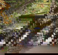 Adelaide Highlights Hahndorf  McLaren Vale Wine Tasting and Sightseeing Tour - Pet Food Australia