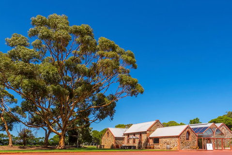 McLaren Vale And Glenelg Wine Tasting And Sightseeing (Half-day Afternoon) - Food Delivery Shop 5