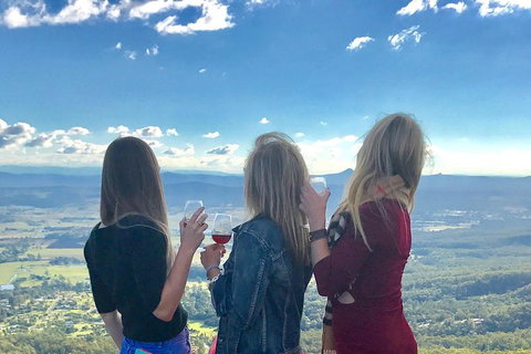 Mount Tamborine Wine Tasting Tour From Brisbane Or The Gold Coast - Food Delivery Shop 1