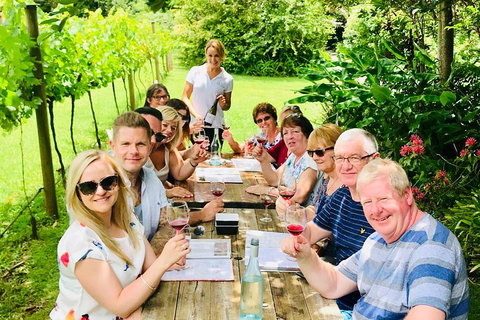 Mount Tamborine Wine Tasting Tour From Brisbane Or The Gold Coast - Food Delivery Shop 5