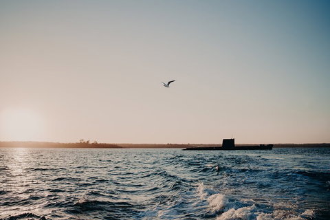 Phillip Island Twilight Cruise - Pet Food Australia 1