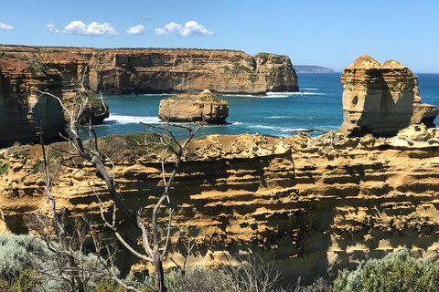 Great Ocean Road Reverse Itinerary Tour - Food Delivery Shop 1