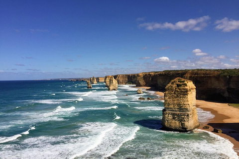 Great Ocean Road Reverse Itinerary Tour - Food Delivery Shop 4