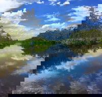 Noosa Everglades Serenity Cruise  Highlights Tour Inc. Lunch  Cruise - Pet Food Australia