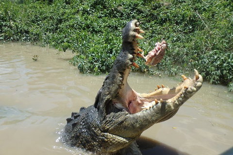 Litchfield And Jumping Crocodiles Full Day Trip From Darwin - Food Delivery Shop 3