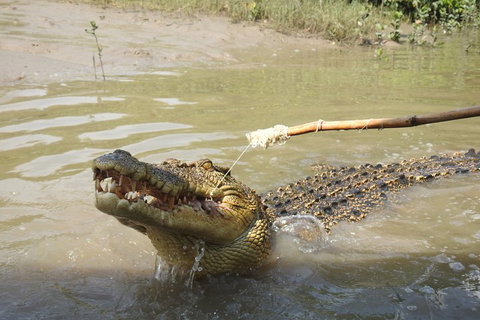 Litchfield And Jumping Crocodiles Full Day Trip From Darwin - Food Delivery Shop 4