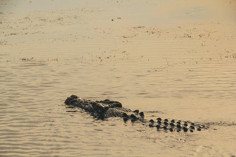 Yellow Water Cruise - Kakadu - Pet Food Australia 2