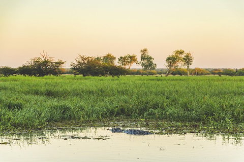 Yellow Water Cruise - Kakadu - Pet Food Australia 3