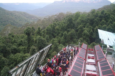 Blue Mountains Private Tour With Wildlife Park And River Cruise - Food Delivery Shop 1