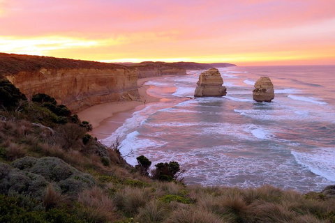 Private Great Ocean Road Full Day Tour - 1 Day Tour - Pet Food Australia 1