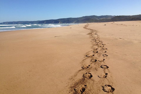 Private Great Ocean Road Full Day Tour - 1 Day Tour - Pet Food Australia 5