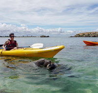 Seal Island and Penguin Island or Point Peron Sea Kayak Tour - Food Delivery Shop