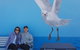 Bondi Beach Walking Tour With Optional Bondi To Bronte Coastal Walk - thumb 4