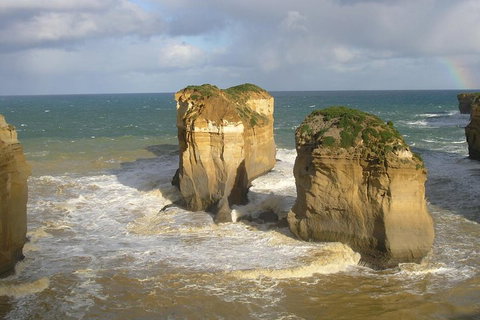 Full-Day Great Ocean Road Tour From Melbourne - Food Delivery Shop 4
