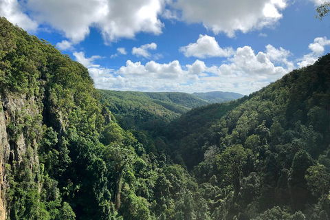 Springbrook Full Day Tour - Food Delivery Shop 1