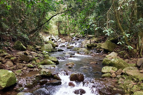 Exclusive Private Tour - Design Your Own - Food Delivery Shop 1