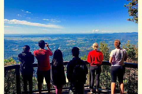 Exclusive Private Tour - Design Your Own - Food Delivery Shop 2