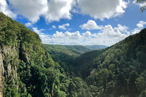 Exclusive Private Tour - Design Your Own - Food Delivery Shop 3