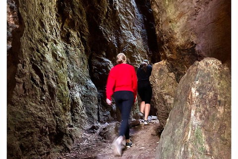 Exclusive Private Tour - Design Your Own - Food Delivery Shop 4